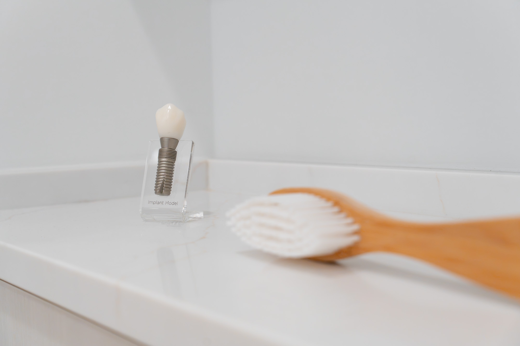 Tooth model and oversized toothbrush on a counter