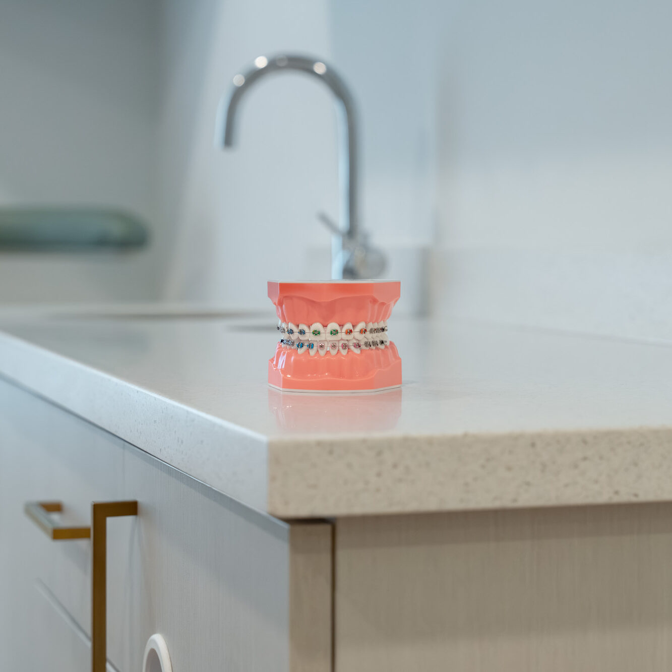 Braces model on a treatment room counter